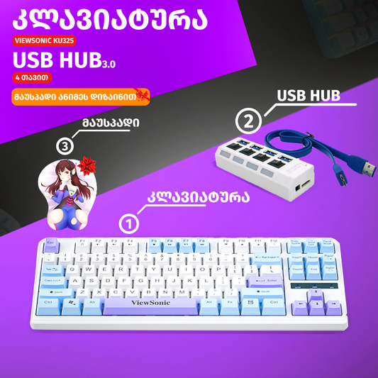 Buy ViewSonic keyboard, USB Hub and Anime Mousepad with special discount !